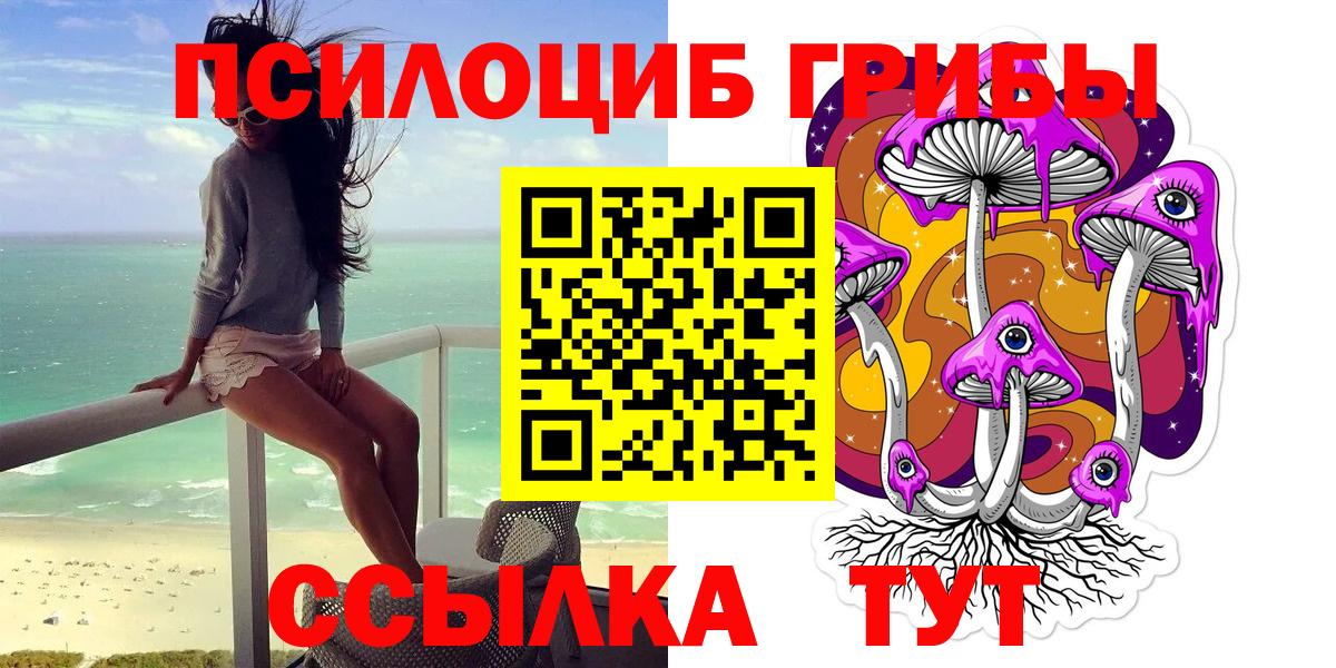 Галлюциногенные грибы Psilocybe  Вход с VPN  Свободный 